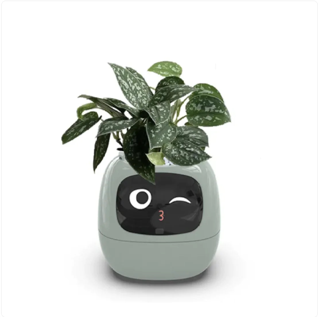 Smart Planter with 49 Expressions